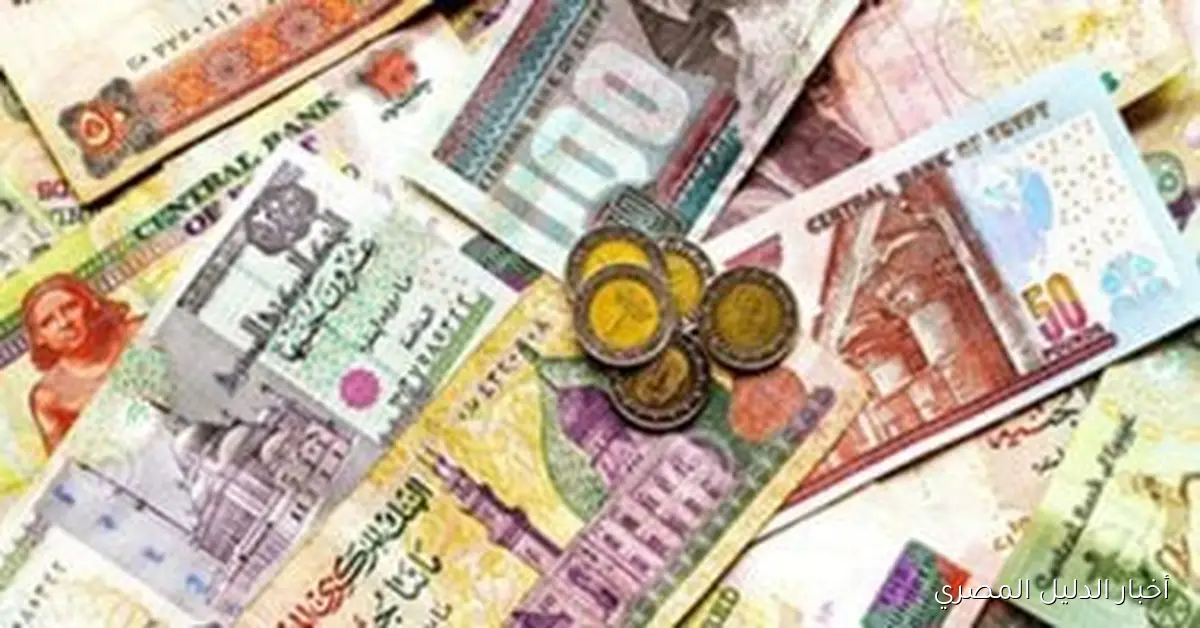 آليات زيادة الرواتب من خلال المجلس القومي للأجور: رؤية اقتصادية متكاملة