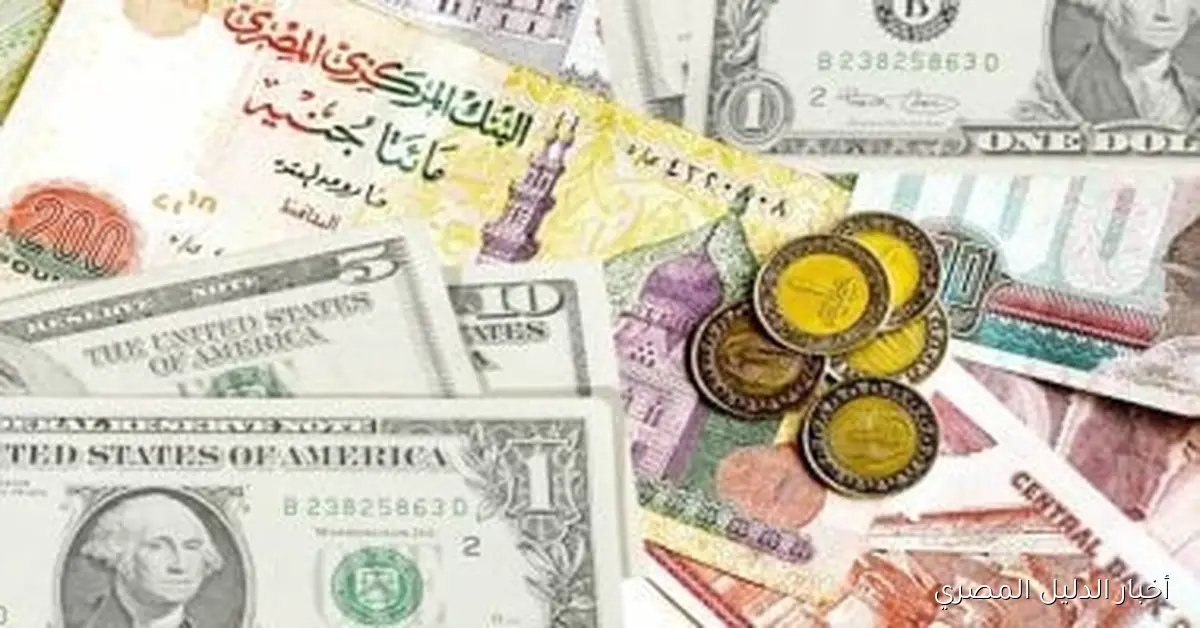 أسعار العملات اليوم: تحديثات الأحد 19 أكتوبر 2025