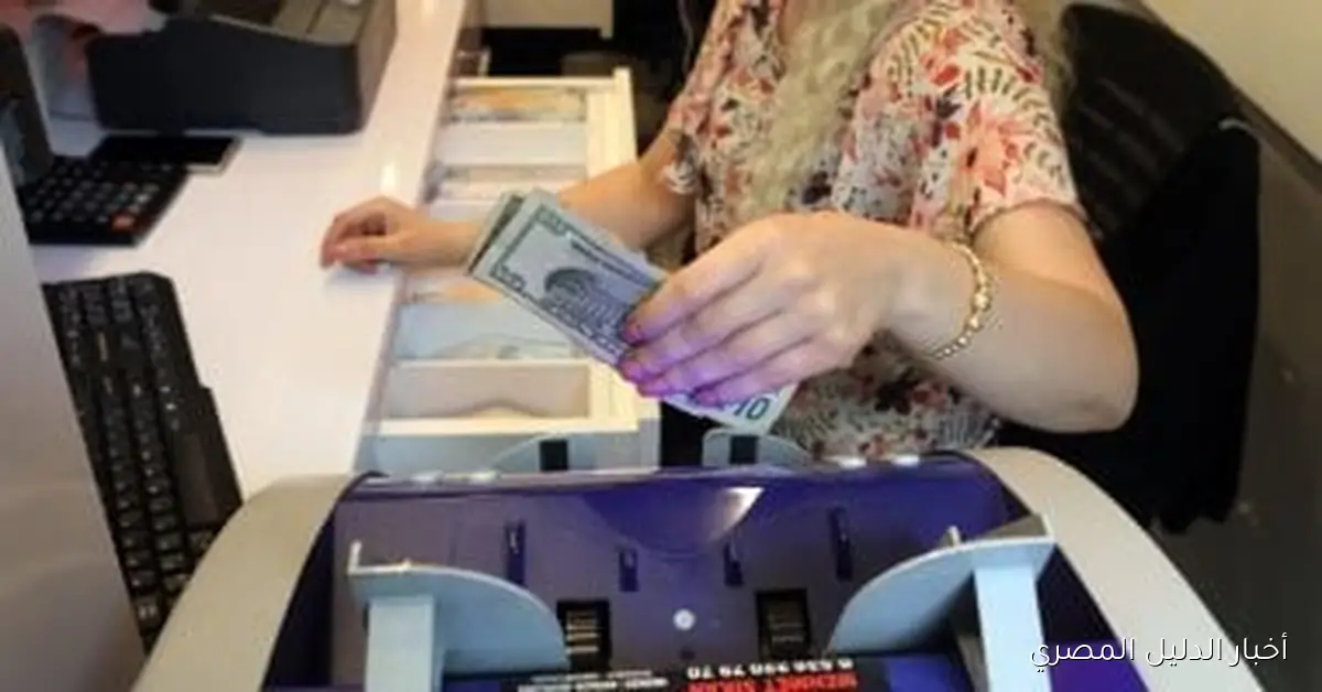 استقرار سعر الدولار في البنوك اليوم الجمعة 24 أكتوبر 2025