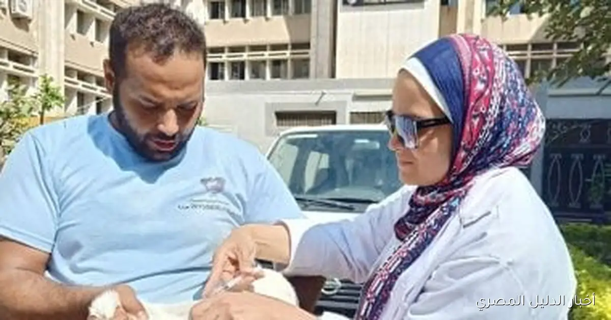 حملة شاملة لتطعيم الكلاب ضد داء السعار في مجمع الكليات الطبية بطنطا