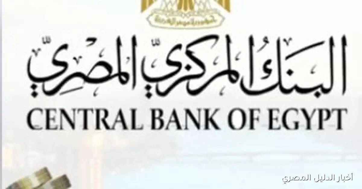 زيادة تحويلات المصريين المغتربين إلى 26.6 مليار دولار في غضون 8 أشهر