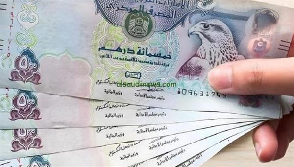سعر الدرهم الإماراتي مقابل الجنيه المصري اليوم