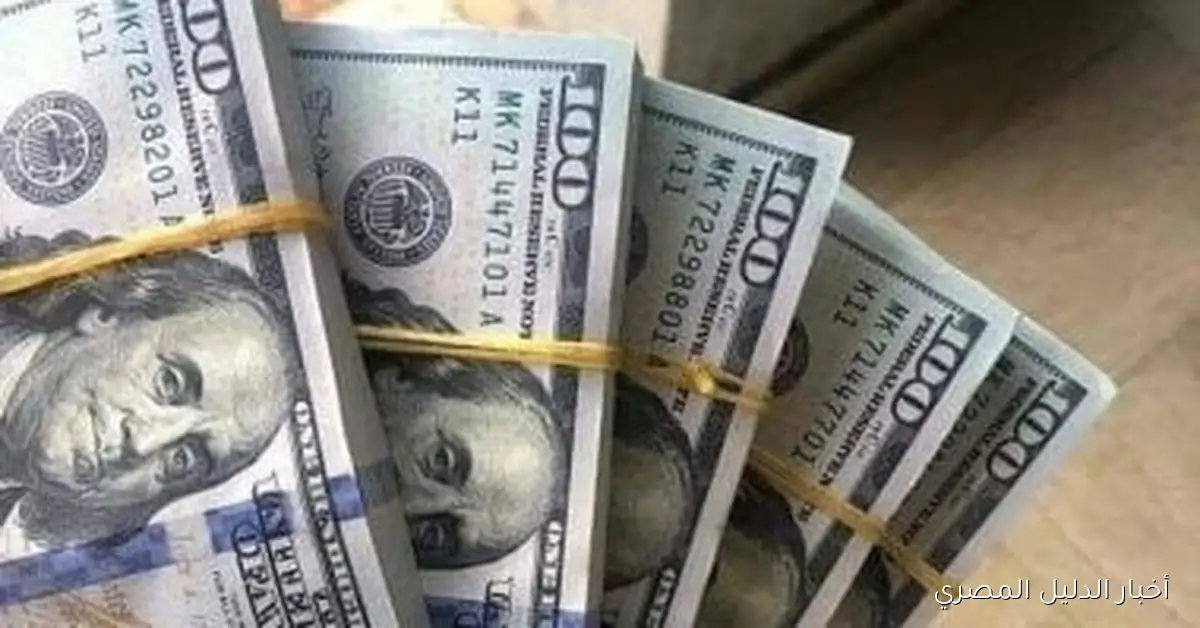 سعر الدولار مقابل الجنيه المصري في البنوك المصرية بتاريخ 19 أكتوبر 2025