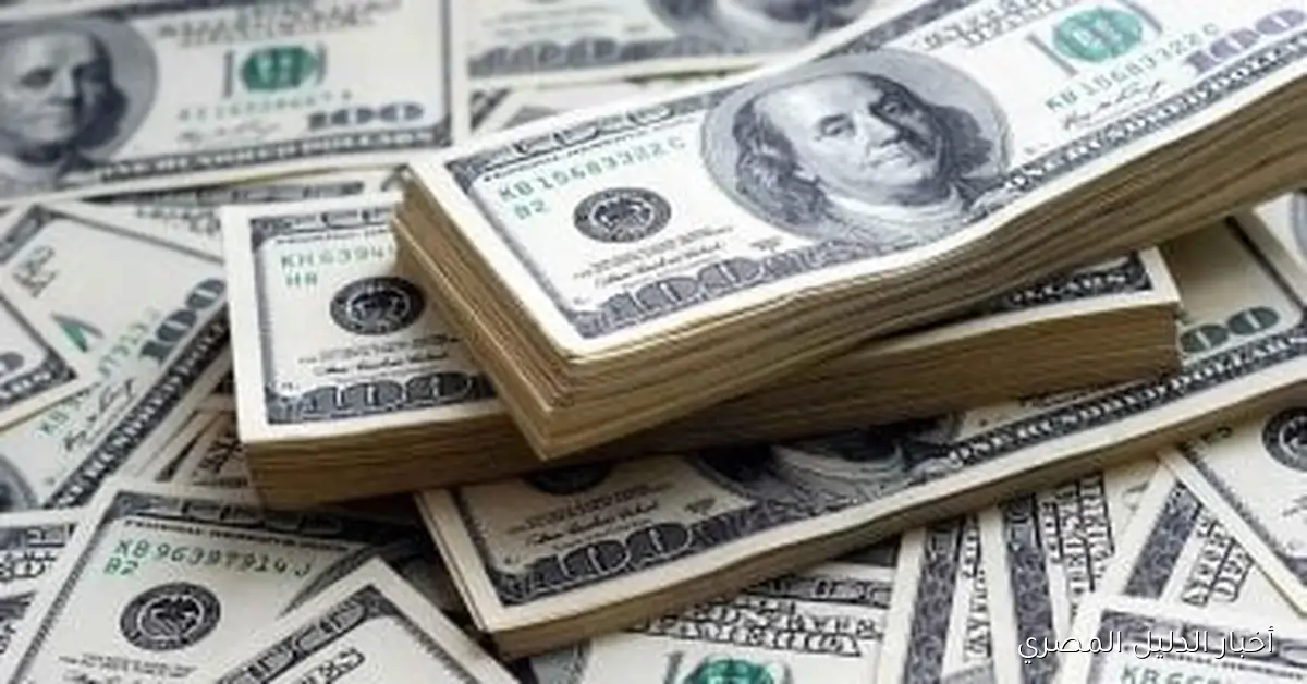 سعر الدولار مقابل الجنيه اليوم الثلاثاء: 47.46 جنيه في بنك الإسكندرية