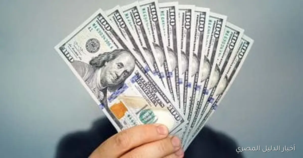 سعر الدولار مقابل الجنيه في البنوك المصرية: تحديثات وآفاق السوق الحالية
