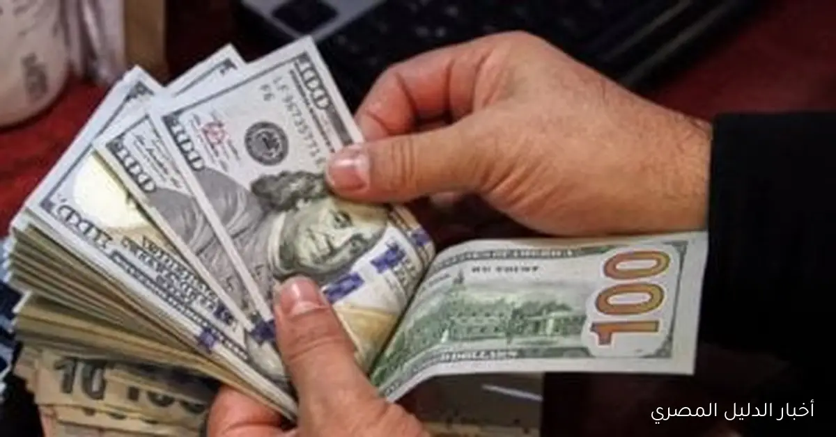 سعر الدولار مقابل الجنيه في بنك الإسكندرية اليوم الثلاثاء: 47.51 جنيهاً للشراء