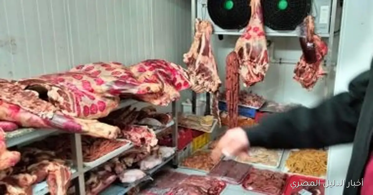 <p><strong>ضبط طن ونصف من اللحوم والأسماك غير الصالحة للاستهلاك الآدمي في محافظة المنوفية</strong></p>