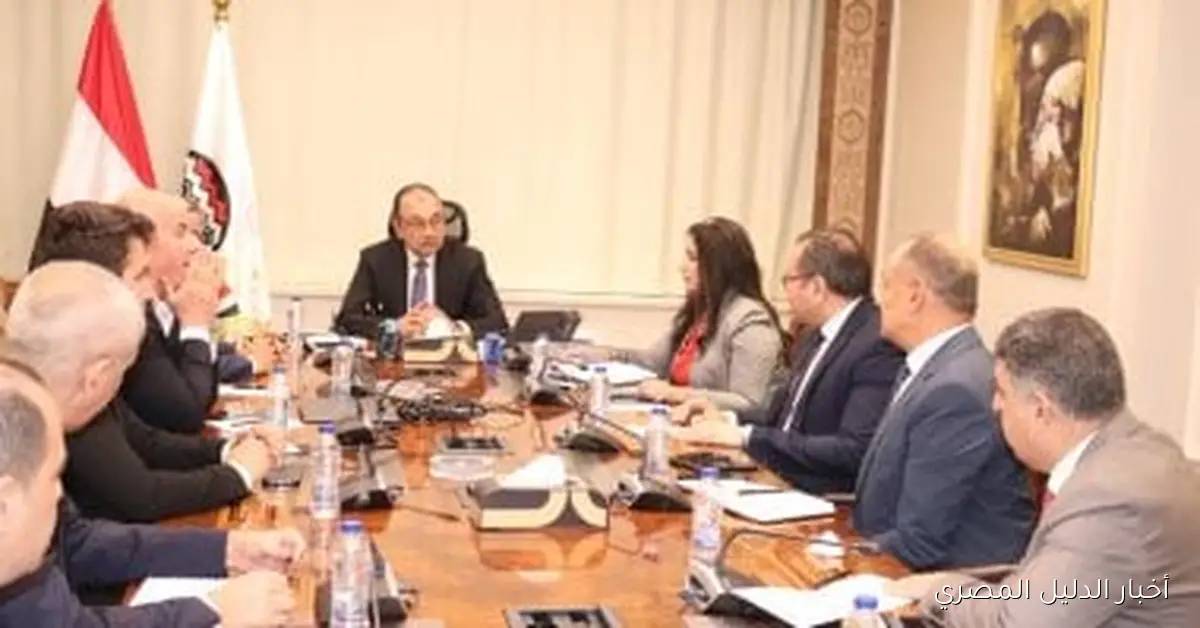 وزير قطاع الأعمال يلتقي رئيس مجموعة أروجلو العالمية لاستكشاف فرص الاستثمار والتعاون المشترك